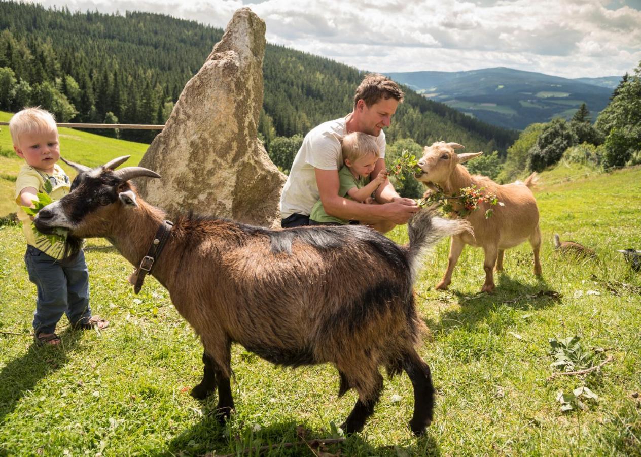 Gasthof Pension Orthofer Sankt Jakob im Walde Luaran gambar